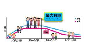 骨量の図.jpgのサムネイル画像のサムネイル画像